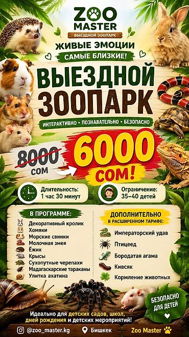 Выездной зоопарк Zoo Master — живые эмоции на расстоянии вытянутой at lalafo.kg Выездной зоопарк Zoo Master — живые эмоции на расстоянии вытянутой