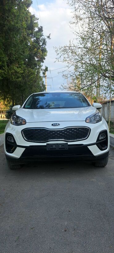 Kia: Kia Sportage: 2022 г., 2.4 л, Автомат, Бензин, Внедорожник