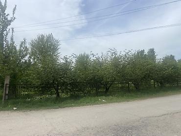 Кыймылсыз мүлк: 6 соток, Курулуш, Кызыл китеп — 5