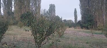 Продажа участков: 30 соток at lalafo.kg — 7 Продажа участков: 30 соток — 7