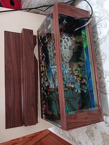Akvarium aksesuar və ləvazimatları: Baha alinib 60 Azn satilir isdifade olunmadiqi ucun — 6