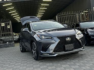 alba: Lexus NX: 2020 г., 0.2 л, Автомат, Бензин, Внедорожник — 2