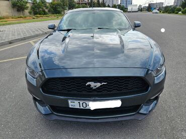 ford 0 km: Ford Mustang: 2.3 l | 2016 il | 126000 km Kupe