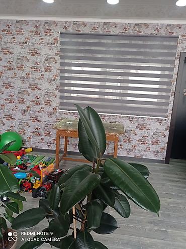 Жалюзи и рольшторы: Жалюзи ролл-шторы день и ночь вертикальные шторы ремонт установка — 19