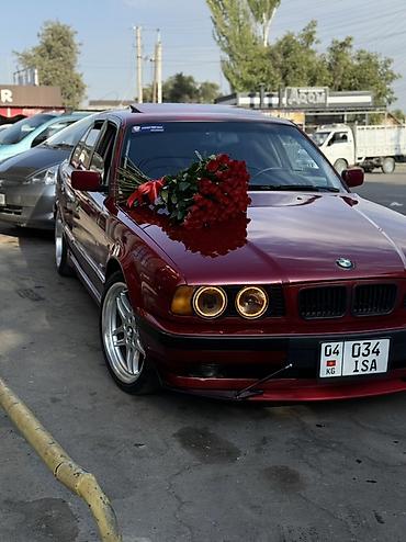 BMW: BMW 5 series: 1994 г., 2.5 л, Механика, Бензин, Седан — 1