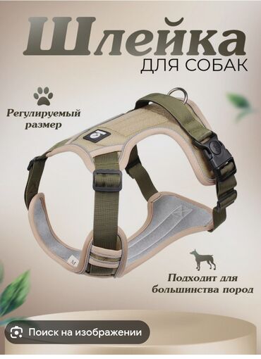 сколько стоит черепаха маленькая в бишкеке: Продаю шлейку для собак мелких пород размер S поводок в комплекте