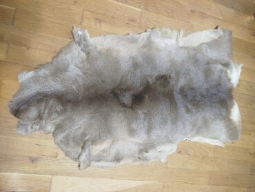 Yun: Təqdim olunan tebii ceyran dərisi əsasən açıq qəhvəyi və boz — 8