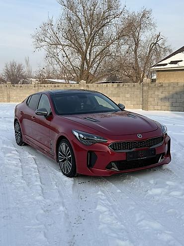 Kia: Kia Stinger: 2018 г., 2.2 л, Автомат, Дизель, Седан — 6