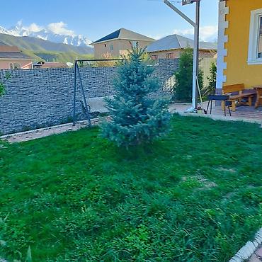 комната: 5 комнат, 260 м², 7 соток, Таш-Добо, Риэлтор — 6