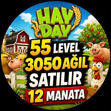 bakida parnik işi: Fermer, 1 yaş, Təcrübəsiz — 1