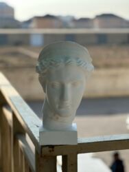 Bitkilər: Fiqur, Gips, rəng - Ağ