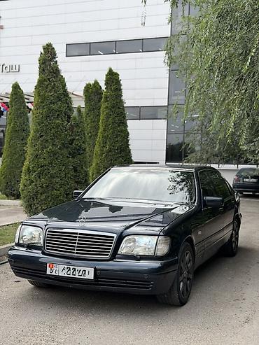 ленинская: Mercedes-Benz S-Class: 1997 г., 5 л, Автомат, Газ, Седан — 3