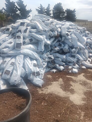 Toxumlar: Qazonlasdrma catrlma qurasdrma dekarativ bitgiler guler das torpaq — 9