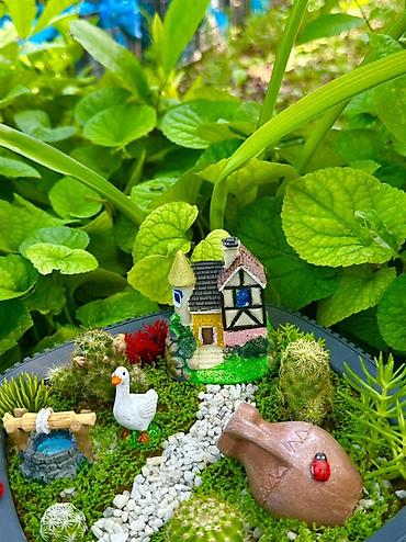 Bitkilər üçün dibçəklər: Miniatür sukulent/teraryum kompozisiyası – “Bağ evciyi” mövzulu - — 3