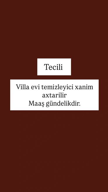 gül buketləri və qiymətləri: Təmizlik | Həyətlər | Ümumi təmizlik, Gündəlik təmizlik, Çılçıraqların yuyulması və təmizlənməsi