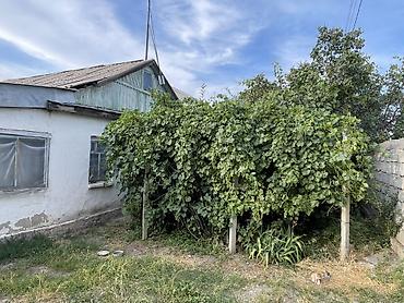 Продажа дач: Продаётся дом в с. Кунтуу. Центр. Большой участок.Подойдет для — 7