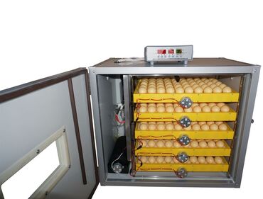 инкубатор сокулук: Инкубаторы на 528 яйц- от 35000 сом, 1056 яйц от 45000 сом, 1232 яйц