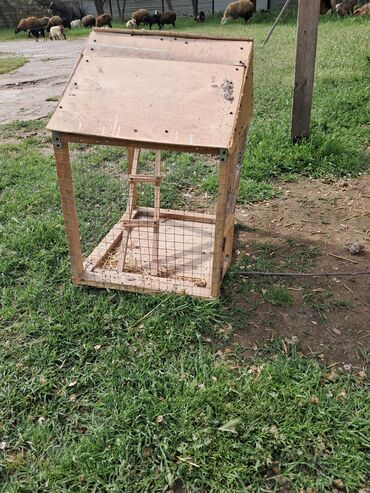 Yuvalar: Qefesderin her biri satilir — 2