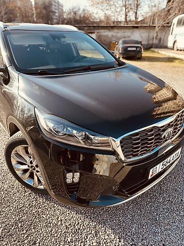 Kia: Kia Sorento: 2019 г., 2 л, Автомат, Дизель, Кроссовер — 9