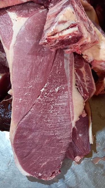 курбан кара: Халал мясо “Мурок” (Бишкек) - Говядина/телятина: конина? На фото — 7