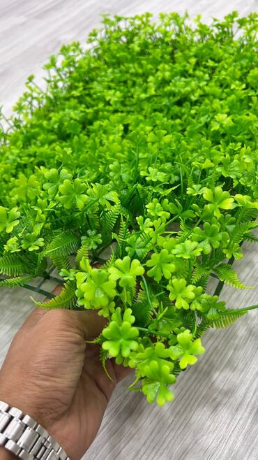 Kovrolin: 10 azn baslayan qiymetler Suni qazonlarin topdan satisi Suni qazon -da lalafo.az — 19 Kovrolin: 10 azn baslayan qiymetler Suni qazonlarin topdan satisi Suni qazon — 19