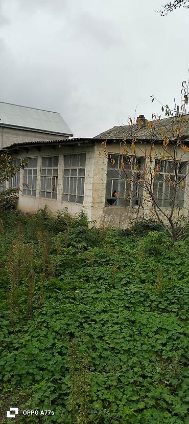 ev alqi satqisi zabrat 1: 19 sot, Kənd təsərrüfatı, Mülkiyyətçi, Kupça (Çıxarış) — 4