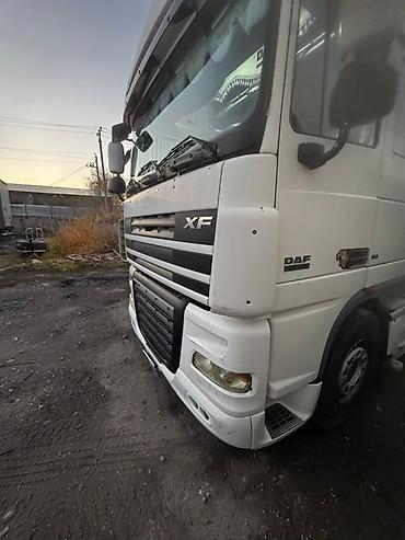 Тягачи: Тягач, DAF, 2007 г., Без прицепа — 16