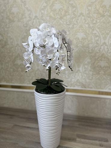 кышкы кийимдер: Искусственная орхидея Phalaenopsis в высоком кашпо. - Цвет соцветий — 1
