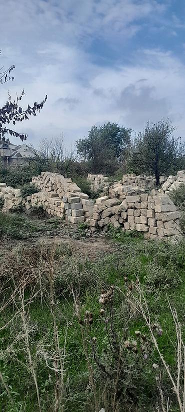 agac sekilleri: Kubiklər, Kredit yoxdur — 1