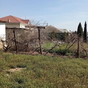 Torpaq sahələrinin satışı: 16 sot, Tikinti, Mülkiyyətçi, Kupça (Çıxarış) — 17