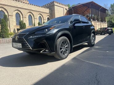 машину лексус: Lexus NX: 2018 г., 2 л, Автомат, Бензин, Кроссовер