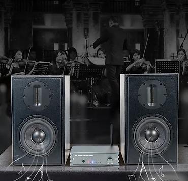 Динамики и колонки: Домашняя стереосистема Samtronic Sound System + усилитель — мощная — 4