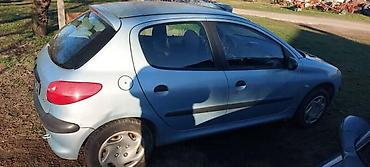putnicki kombi: VRATA EYLC BOJA ZA PEUGEOT 206 | Vrata za peugeot 206 u EYLC — 4