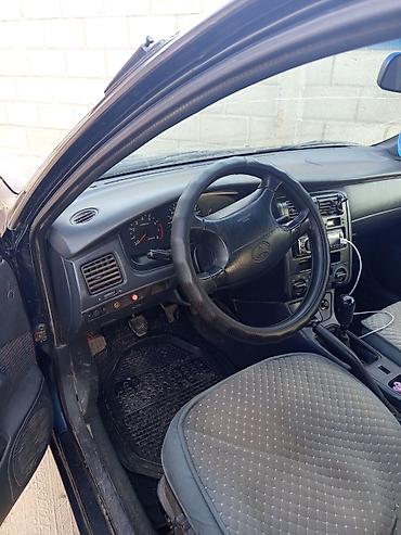 краска авто: Toyota Carina E: 1995 г., 1.8 л, Механика, Бензин, Универсал — 6