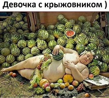 f966b73e1fe7f3a231b2ee311f1e.jpeg