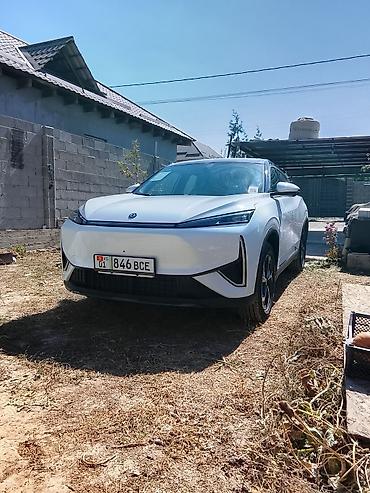 Dongfeng Aeolus Haohan: 2026 г.