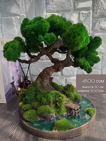 Декоративные цветы: Деревья-бонсай из натурального стабилизированного мха🌳 -это — 65