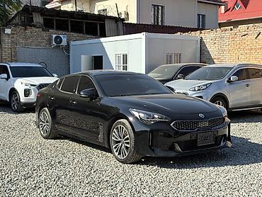 netta l: Kia Stinger: 2018 г., 2.2 л, Автомат, Дизель, Лифтбек — 2