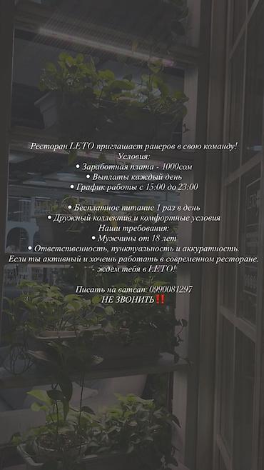 раннер: Требуется Помощник официанта фаст-фуд заведения — 1