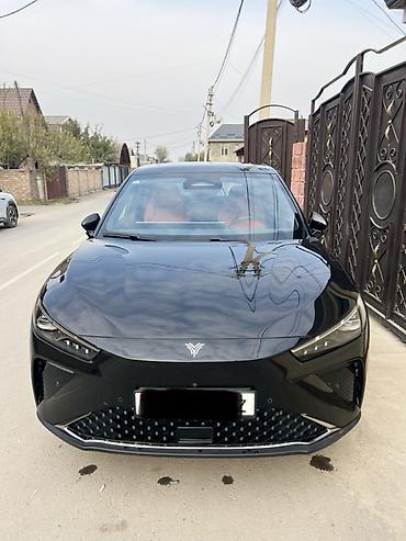 рама газик: Hozon Neta L: 2024 г., 1.5 л, Гибрид, Кроссовер — 2