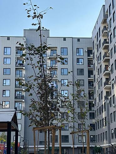 алмаатинка: 1 комната, 42 м², Технопарк Элитка, 3 этаж, ПСО (под самоотделку) — 5