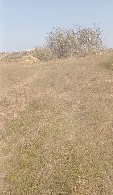 Torpaq sahələrinin satışı: 12 sot, Tikinti, Mülkiyyətçi, Kupça (Çıxarış) -da lalafo.az — 5 Torpaq sahələrinin satışı: 12 sot, Tikinti, Mülkiyyətçi, Kupça (Çıxarış) — 5