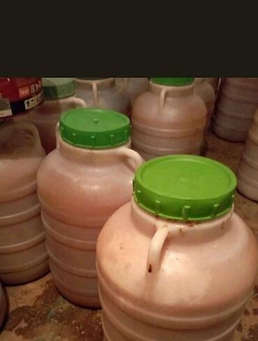 маленький мишка: Продаю мёд оптом экспорцет 🍯🍯🍯👍 — 4