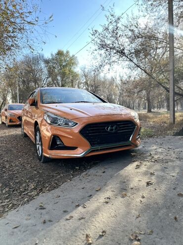 исык кол: Hyundai Sonata: 2019 г., 2 л, Автомат, Газ, Седан