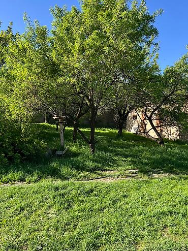 Продажа домов: Дом, 36 м², 2 комнаты, Собственник at lalafo.kg — 11 Продажа домов: Дом, 36 м², 2 комнаты, Собственник — 11