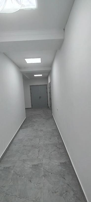для шкурка: Покраска наружных стен, Покраска потолков, Покраска стен, На водной основе, На масляной основе, Больше 6 лет опыта — 3
