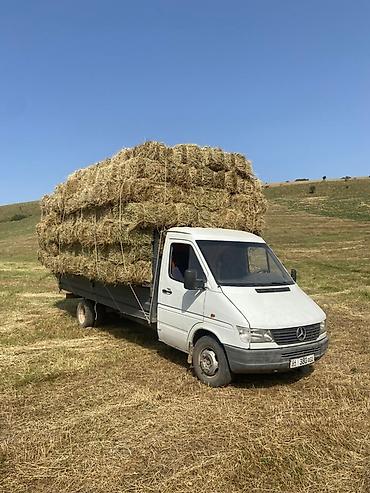 Легкий грузовой транспорт: Легкий грузовик, Mercedes-Benz, Стандарт, Б/у — 3