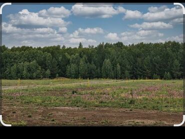дом для день рождения: Продаю 4 гектара земля под производство Дача суу подойдет под любой