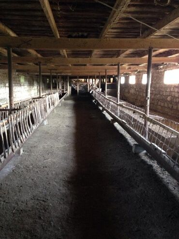 Bağ evlərinin satışı: Xudat, 80 kv. m, 8 otaq -da lalafo.az — 19 Bağ evlərinin satışı: Xudat, 80 kv. m, 8 otaq — 19