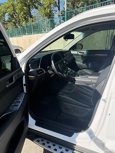 chrysler pacifica: Hyundai Palisade: 2019 г., 3.8 л, Автомат, Бензин, Минивэн — 9